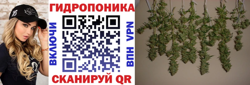 Купить наркотики цена Дубна Псилоцибиновые грибы COCAIN A-PVP Канабис МЕТАМФЕТАМИН ссылка на мегу как войти МЕФ Гашиш