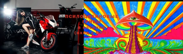 стаф Абаза