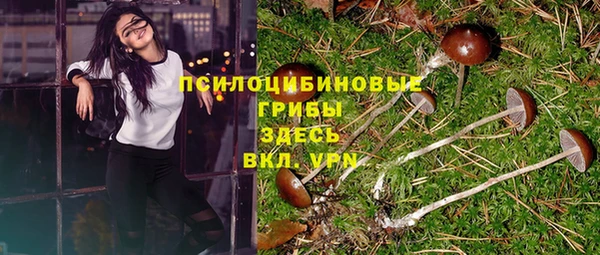 метадон Алзамай