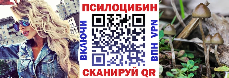 где купить наркотик  Дубна  МЕГА   Псилоцибиновые грибы прущие грибы 