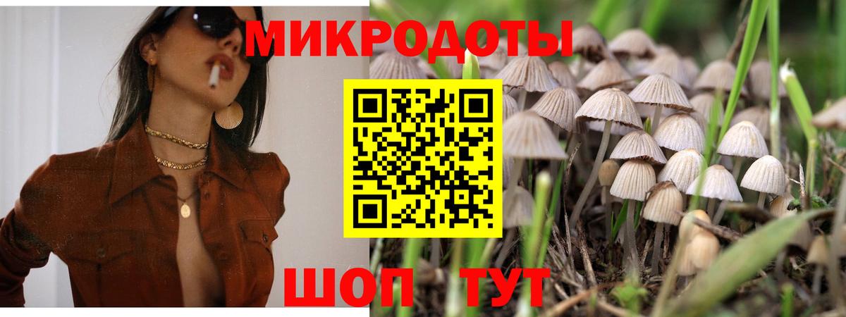 Галлюциногенные грибы Psilocybe  Вход с VPN  Дубна  Галлюциногенные грибы Psilocybe 